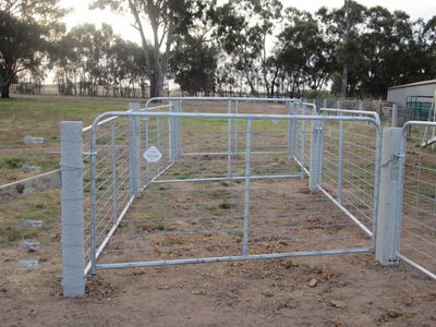 Alpaca husbandry Alpaca husbandry